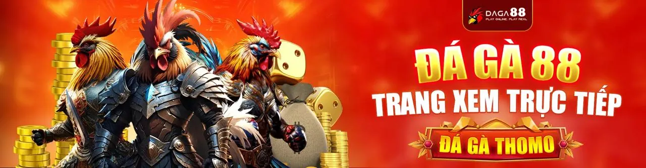 Đá Gà Trực Tuyến đỉnh cao tại lucky8882
